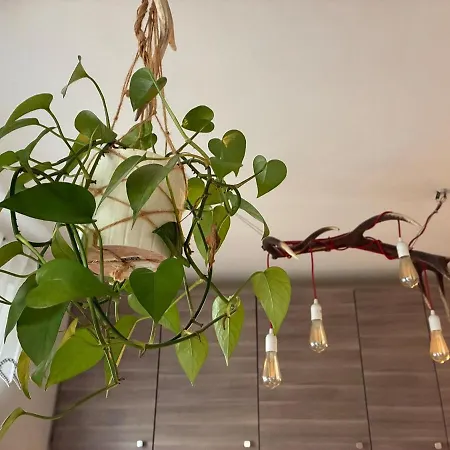 Apartmán Family Flat In The Centre Of *