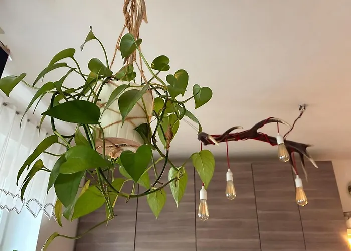 Apartament Family Flat In The Centre Of *